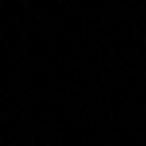 Meet your Posher, Ramon